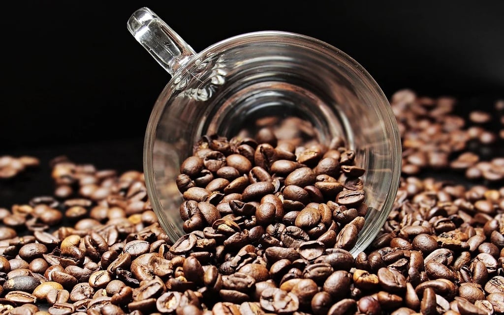 Boire un café dans un lieu chargé d'histoire